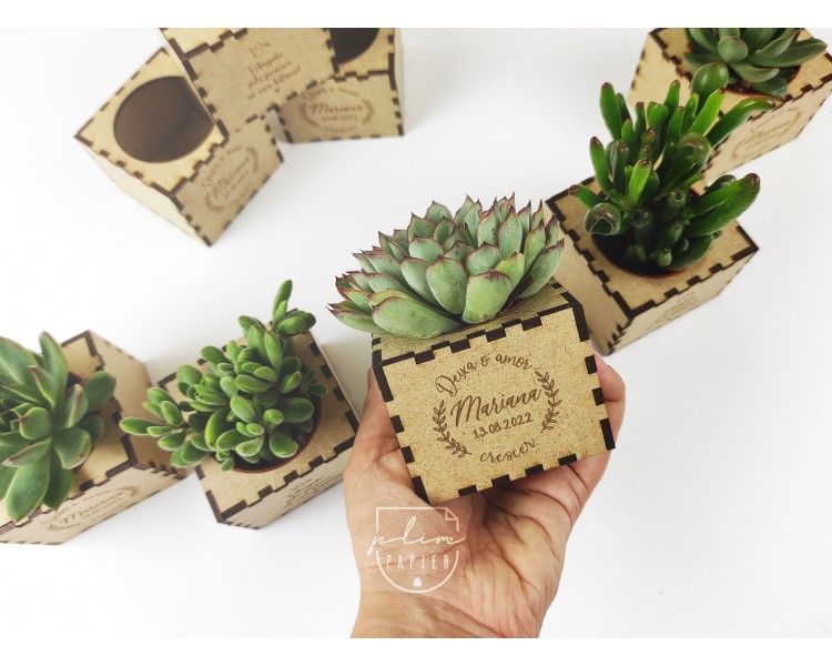 Vaso personalizado com suculenta - lembrança para casamento, batismo, comunhão, op1