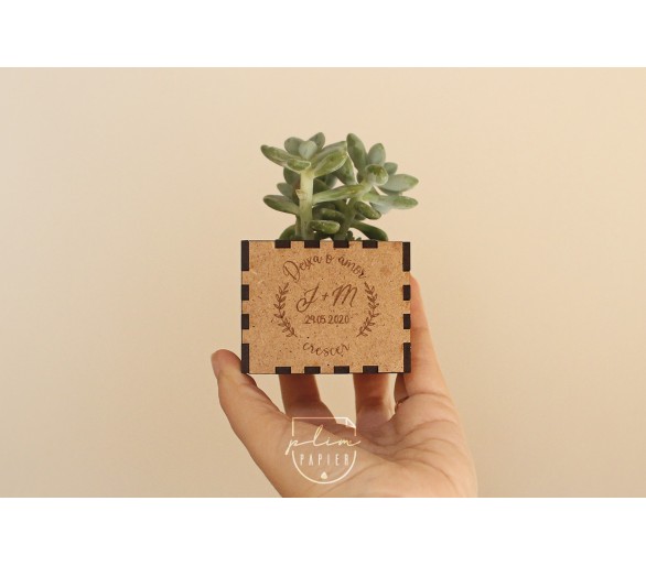 Vaso personalizado para suculenta (suculenta NÃO INCLÚIDA) - op1